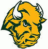 BisonBlitz's Avatar