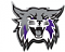 WILDCAT's Avatar