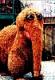 MrSnuffleupagus's Avatar