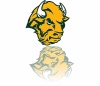 BisonCountry's Avatar
