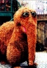 MrSnuffleupagus's Avatar